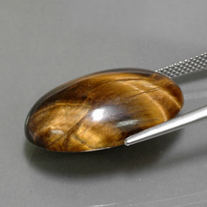 Tiger's Eye طبيعي بلون بني ذهبي، وزن ‎23.72‎ قيراط، شكل بيضاوى، مقاس ‎23.8x16.3‎ مم