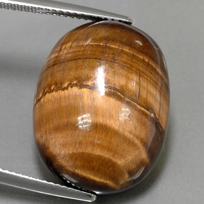 Tiger's Eye طبيعي بلون بني ذهبي، وزن ‎24.80‎ قيراط، شكل بيضاوى، مقاس ‎21.7x16.8‎ مم