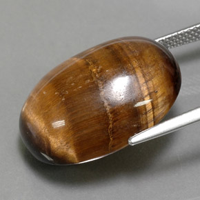 Tiger's Eye طبيعي بلون بني ذهبي، وزن ‎24.80‎ قيراط، شكل بيضاوى، مقاس ‎21.7x16.8‎ مم