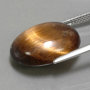 عين النمر ذهب طبيعي، قصة بيضاوى، 14.06 قيراط، غير شفاف