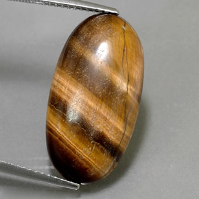 Tiger's Eye طبيعي بلون بني ذهبي، وزن ‎11.79‎ قيراط، شكل بيضاوى، مقاس ‎23.3x12.2‎ مم