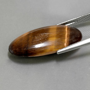 Tiger's Eye طبيعي بلون بني ذهبي، وزن ‎13.84‎ قيراط، شكل بيضاوى، مقاس ‎25.4x13‎ مم