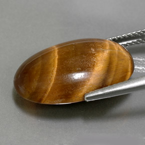 Tiger's Eye طبيعي بلون بني ذهبي، وزن ‎11.07‎ قيراط، شكل بيضاوى، مقاس ‎19.3x13.3‎ مم
