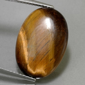 Tiger's Eye طبيعي بلون بني ذهبي، وزن ‎10.40‎ قيراط، شكل بيضاوى، مقاس ‎19.5x13.7‎ مم