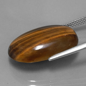 Tiger's Eye طبيعي بلون بني ذهبي، وزن ‎14.42‎ قيراط، شكل بيضاوى، مقاس ‎21.1x13.8‎ مم