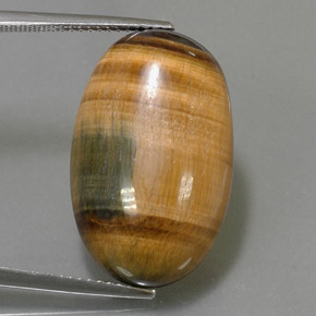 Tiger's Eye طبيعي بلون بني ذهبي، وزن ‎19.16‎ قيراط، شكل بيضاوى، مقاس ‎23.6x14.7‎ مم