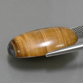 Tiger's Eye طبيعي بلون بني ذهبي، وزن ‎19.16‎ قيراط، شكل بيضاوى، مقاس ‎23.6x14.7‎ مم