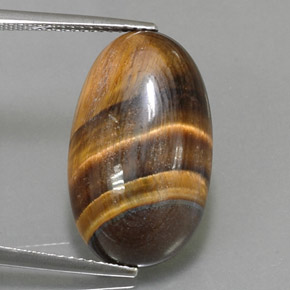Tiger's Eye طبيعي بلون بني ذهبي، وزن ‎13.07‎ قيراط، شكل بيضاوى، مقاس ‎21.6x13‎ مم