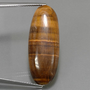 Tiger's Eye طبيعي بلون بني ذهبي، وزن ‎18.16‎ قيراط، شكل بيضاوى، مقاس ‎31.5x12.1‎ مم