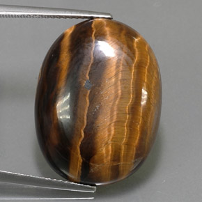 Tiger's Eye طبيعي بلون بني ذهبي، وزن ‎25.04‎ قيراط، شكل بيضاوى، مقاس ‎23.9x18‎ مم