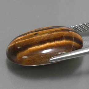 Tiger's Eye طبيعي بلون بني ذهبي، وزن ‎25.04‎ قيراط، شكل بيضاوى، مقاس ‎23.9x18‎ مم