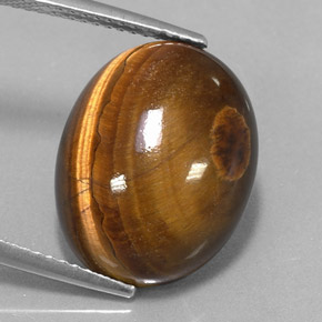 Tiger's Eye طبيعي بلون بني ذهبي، وزن ‎12.49‎ قيراط، شكل بيضاوى، مقاس ‎17x13.3‎ مم