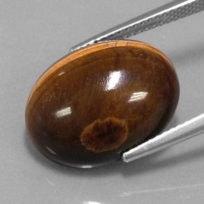 Tiger's Eye طبيعي بلون بني ذهبي، وزن ‎12.49‎ قيراط، شكل بيضاوى، مقاس ‎17x13.3‎ مم