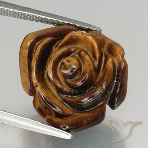 11.36ct طبيعي بنى متوسط عين النمر, فانسى, غير شفاف