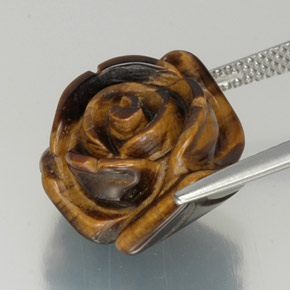 Tiger's Eye طبيعي بلون بني ذهبي، وزن ‎12.59‎ قيراط، شكل شكل خيالي، مقاس ‎16x14.5‎ مم