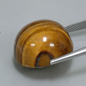 Tiger's Eye طبيعي بلون بني ذهبي، وزن ‎36.26‎ قيراط، شكل دائري، مقاس ‎20.16‎ مم
