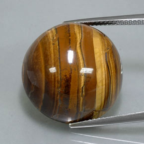 Tiger's Eye طبيعي بلون بني ذهبي، وزن ‎38.37‎ قيراط، شكل دائري، مقاس ‎20.07‎ مم
