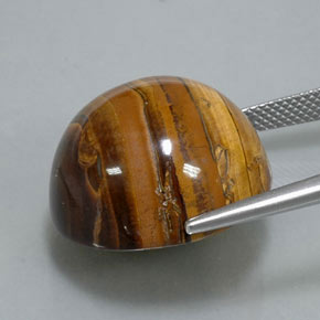 Tiger's Eye طبيعي بلون بني ذهبي، وزن ‎38.37‎ قيراط، شكل دائري، مقاس ‎20.07‎ مم
