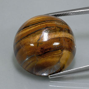 Tiger's Eye طبيعي بلون بني ذهبي، وزن ‎39.32‎ قيراط، شكل دائري، مقاس ‎20.36‎ مم