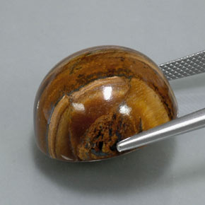Tiger's Eye طبيعي بلون بني ذهبي، وزن ‎39.32‎ قيراط، شكل دائري، مقاس ‎20.36‎ مم
