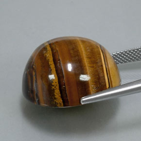 Tiger's Eye طبيعي بلون بني ذهبي، وزن ‎37.12‎ قيراط، شكل دائري، مقاس ‎20.19‎ مم