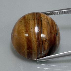 Tiger's Eye طبيعي بلون بنى دافئ، وزن ‎36.50‎ قيراط، شكل دائري، مقاس ‎20.13‎ مم