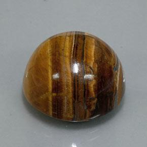 Tiger's Eye طبيعي بلون بنى دافئ، وزن ‎36.50‎ قيراط، شكل دائري، مقاس ‎20.13‎ مم