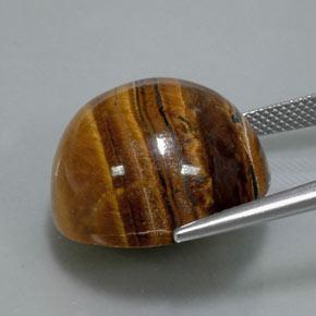 Tiger's Eye طبيعي بلون بنى دافئ، وزن ‎36.50‎ قيراط، شكل دائري، مقاس ‎20.13‎ مم