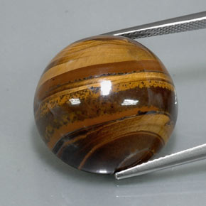 Tiger's Eye طبيعي بلون بني ذهبي، وزن ‎37.72‎ قيراط، شكل دائري، مقاس ‎20.21‎ مم