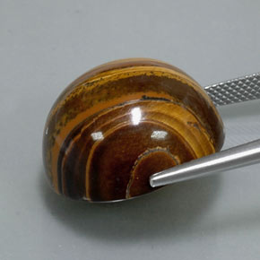 Tiger's Eye طبيعي بلون بني ذهبي، وزن ‎37.72‎ قيراط، شكل دائري، مقاس ‎20.21‎ مم