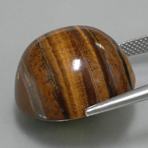 عين النمر ذهب البنى طبيعي، قصة دائرى، 38.29 قيراط، غير شفاف