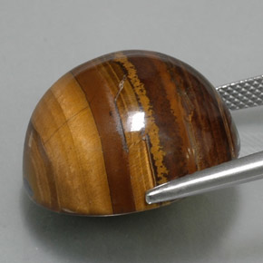 Tiger's Eye طبيعي بلون بني ذهبي، وزن ‎36.89‎ قيراط، شكل دائري، مقاس ‎20.18‎ مم