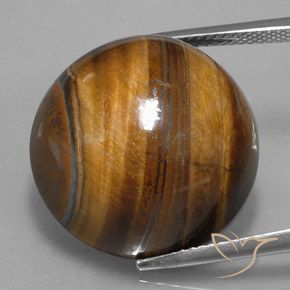 عين النمر بنى دافئ طبيعي، قصة دائرى، 36.45 قيراط، غير شفاف