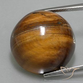 36.10ct طبيعي بنى خبز الزنجبيل عين النمر, دائري, غير شفاف