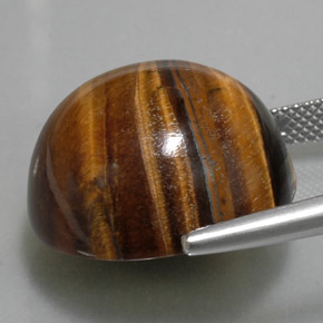Tiger's Eye طبيعي بلون بني ذهبي، وزن ‎36.96‎ قيراط، شكل دائري، مقاس ‎20.12‎ مم