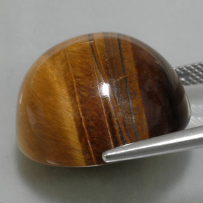 Tiger's Eye طبيعي بلون بني ذهبي، وزن ‎36.05‎ قيراط، شكل دائري، مقاس ‎20.11‎ مم