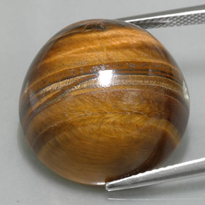 Tiger's Eye طبيعي بلون بنى خبز الزنجبيل، وزن ‎37.11‎ قيراط، شكل دائري، مقاس ‎20.05‎ مم