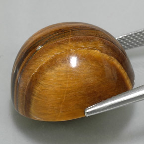 Tiger's Eye طبيعي بلون بنى خبز الزنجبيل، وزن ‎37.11‎ قيراط، شكل دائري، مقاس ‎20.05‎ مم