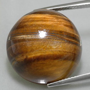 عين النمر ذهب البنى طبيعي، قصة دائرى، 37.73 قيراط، غير شفاف