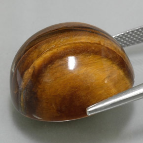 عين النمر ذهب البنى طبيعي، قصة دائرى، 37.73 قيراط، غير شفاف