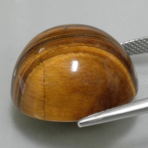 Tiger's Eye طبيعي بلون بني ذهبي، وزن ‎37.40‎ قيراط، شكل دائري، مقاس ‎20.21‎ مم