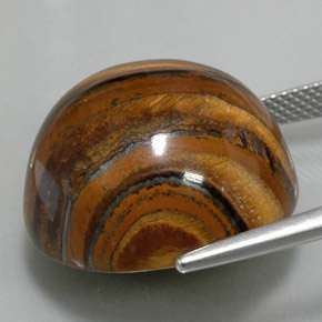 Tiger's Eye طبيعي بلون بني ذهبي، وزن ‎39.11‎ قيراط، شكل دائري، مقاس ‎20.28‎ مم
