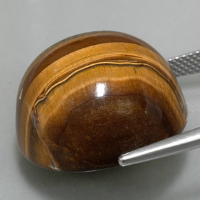 عين النمر ذهب البنى طبيعي، قصة دائرى، 37.23 قيراط، غير شفاف