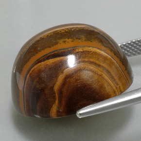 Tiger's Eye طبيعي بلون بني ذهبي، وزن ‎36.02‎ قيراط، شكل دائري، مقاس ‎20.13‎ مم