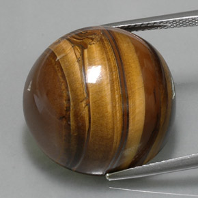 Tiger's Eye طبيعي بلون بني ذهبي، وزن ‎38.33‎ قيراط، شكل دائري، مقاس ‎20.28‎ مم
