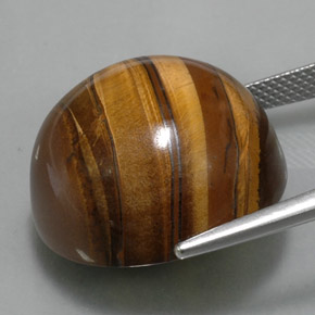 Tiger's Eye طبيعي بلون بني ذهبي، وزن ‎38.33‎ قيراط، شكل دائري، مقاس ‎20.28‎ مم