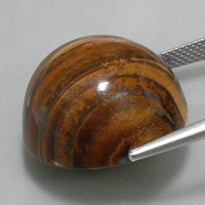 Tiger's Eye طبيعي بلون بني ذهبي، وزن ‎36.56‎ قيراط، شكل دائري، مقاس ‎20.26‎ مم
