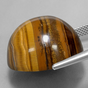 Tiger's Eye طبيعي بلون بني ذهبي، وزن ‎37.72‎ قيراط، شكل دائري، مقاس ‎20.32‎ مم