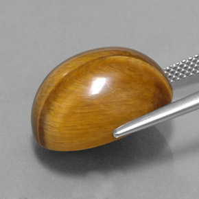 عين النمر ذهب البنى طبيعي، قصة بيضاوى، 16.78 قيراط، غير شفاف