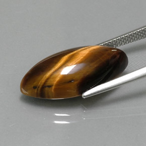 عين النمر ذهب البنى طبيعي، ماركيز، 9.18 قيراط، غير شفاف